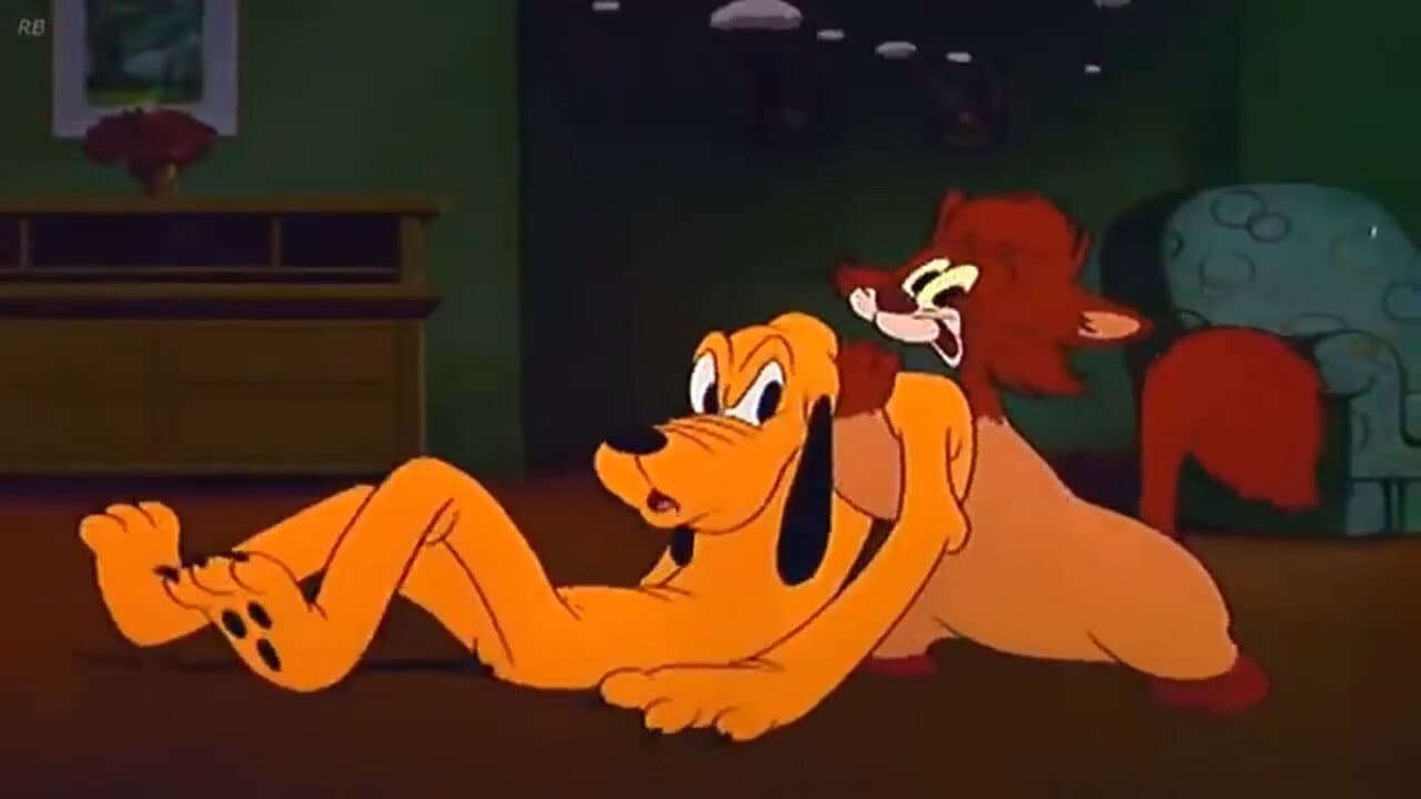 Il tacchino conteso - immagine