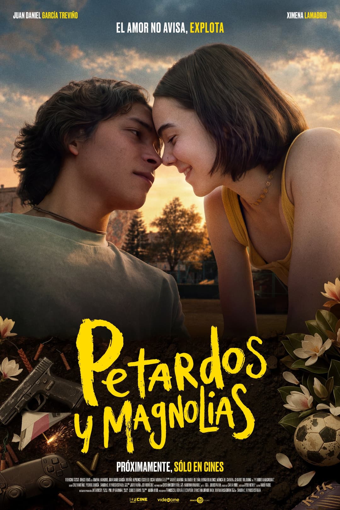 Poster di Petardos y Magnolias
