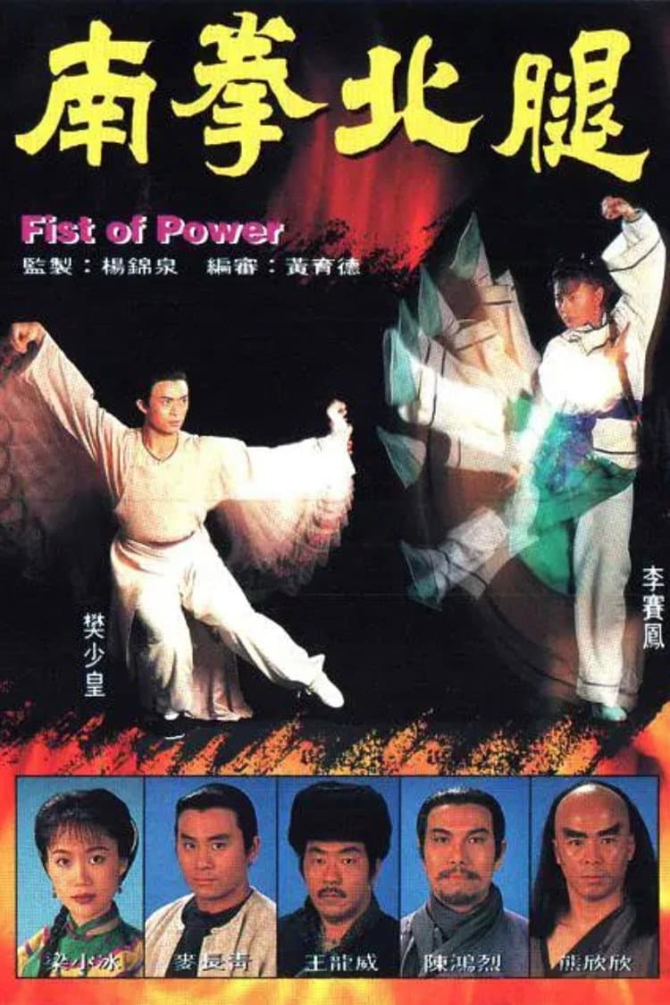 Poster di 南拳北腿