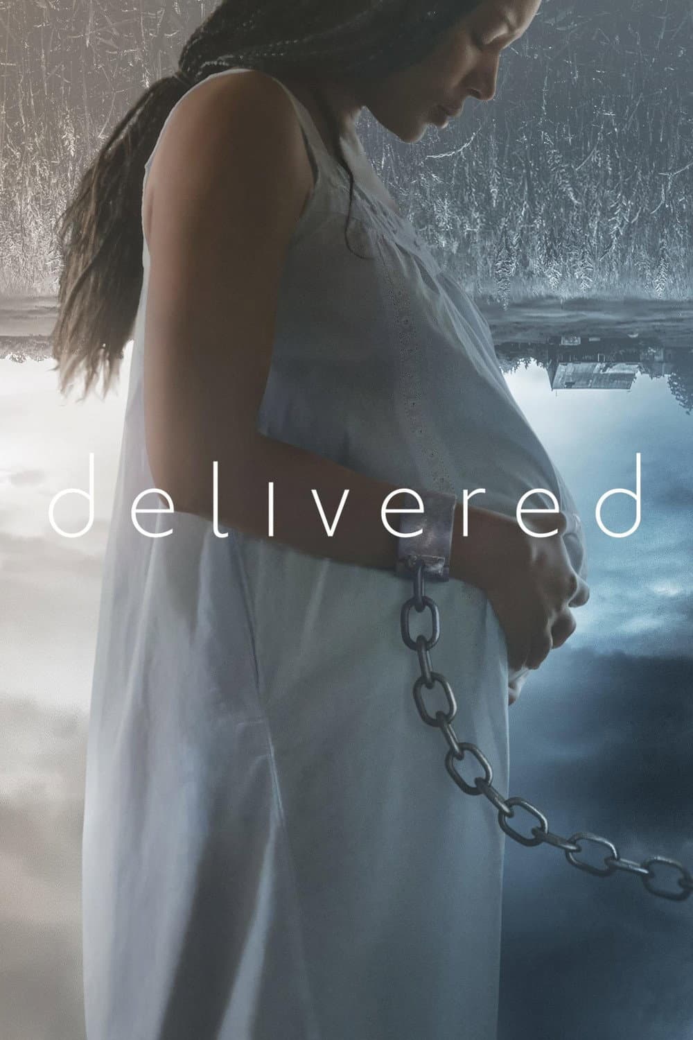 Poster di Delivered
