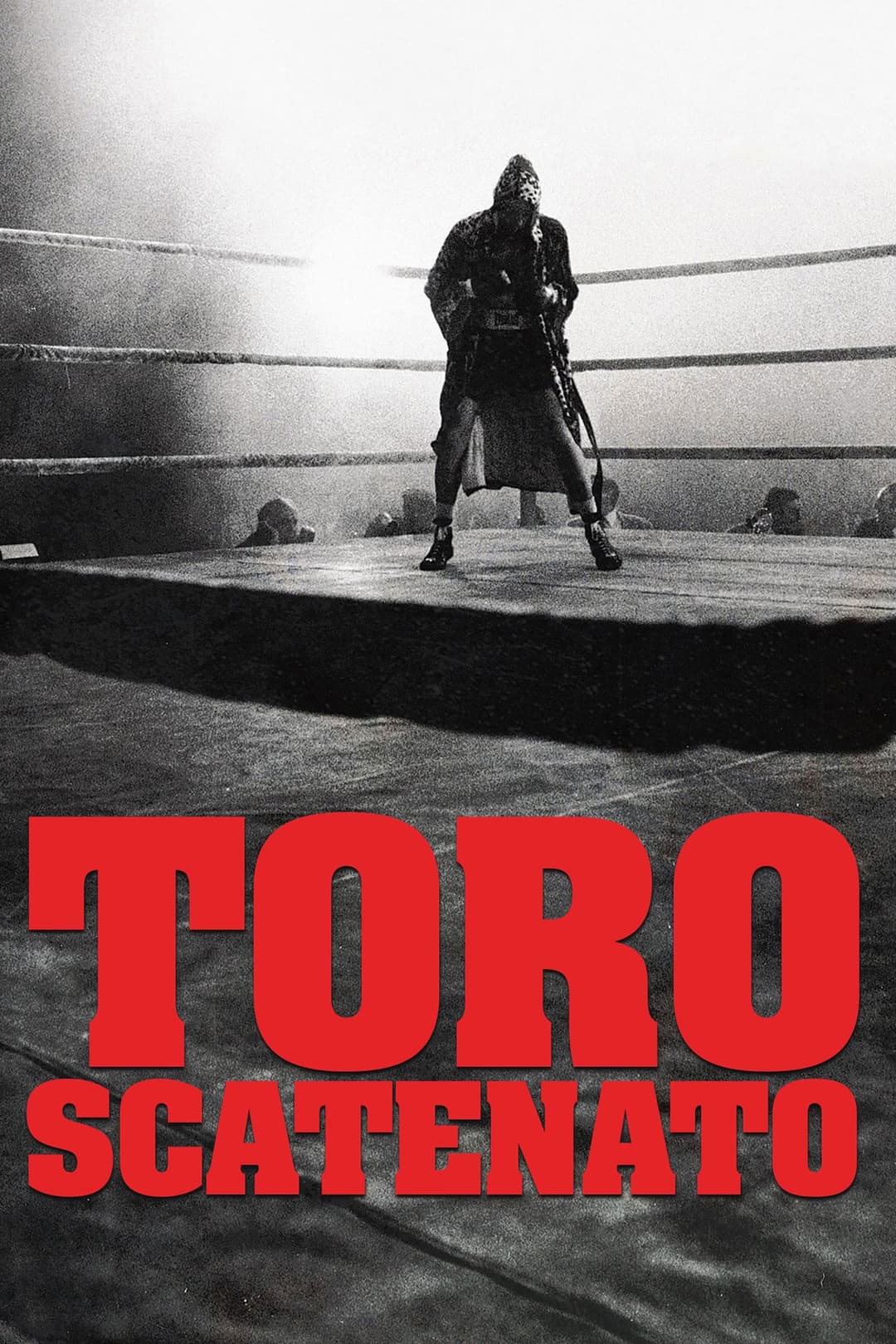 Poster di Toro scatenato