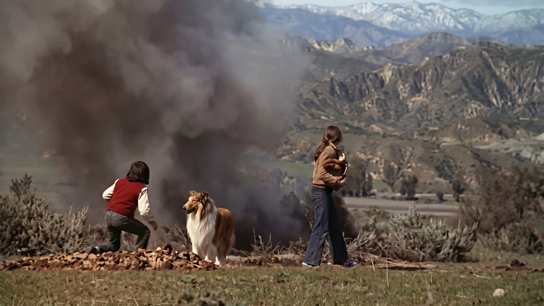 Una nuova casa per Lassie - immagine
