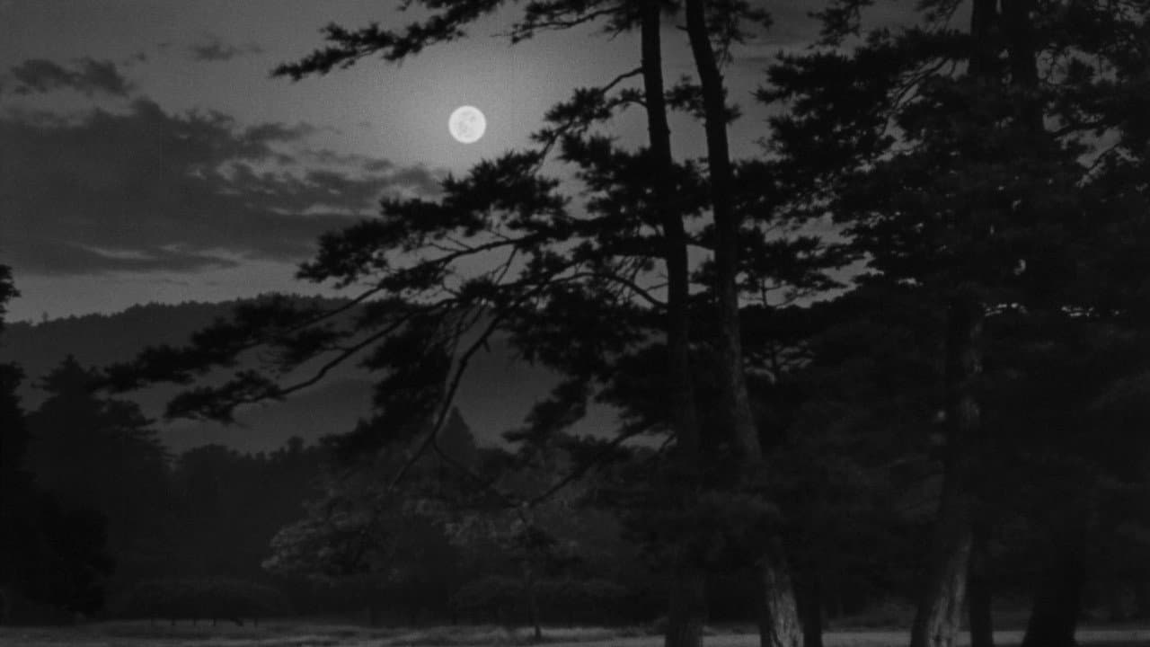 The Moon Has Risen - immagine