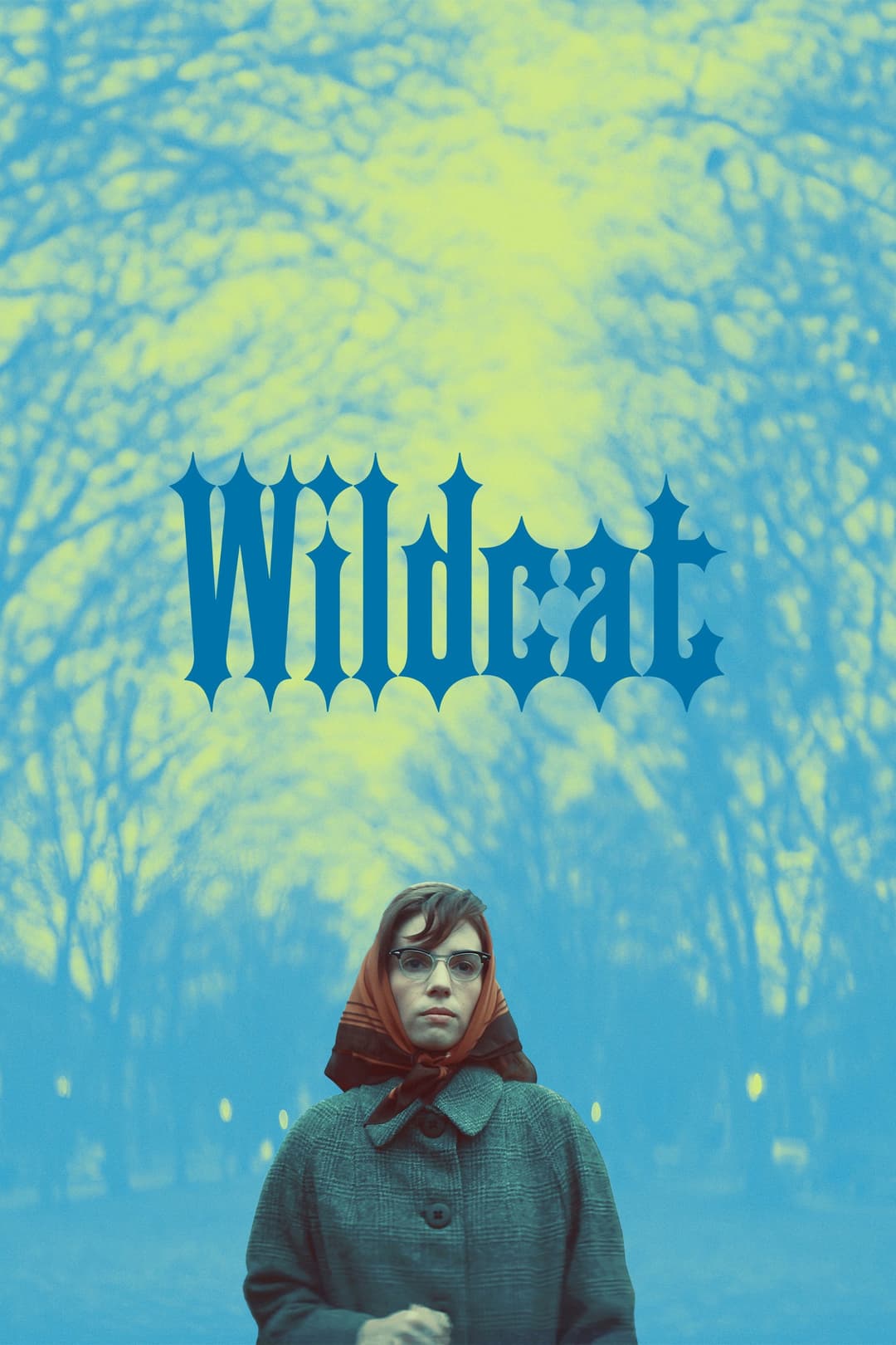 Poster di Wildcat