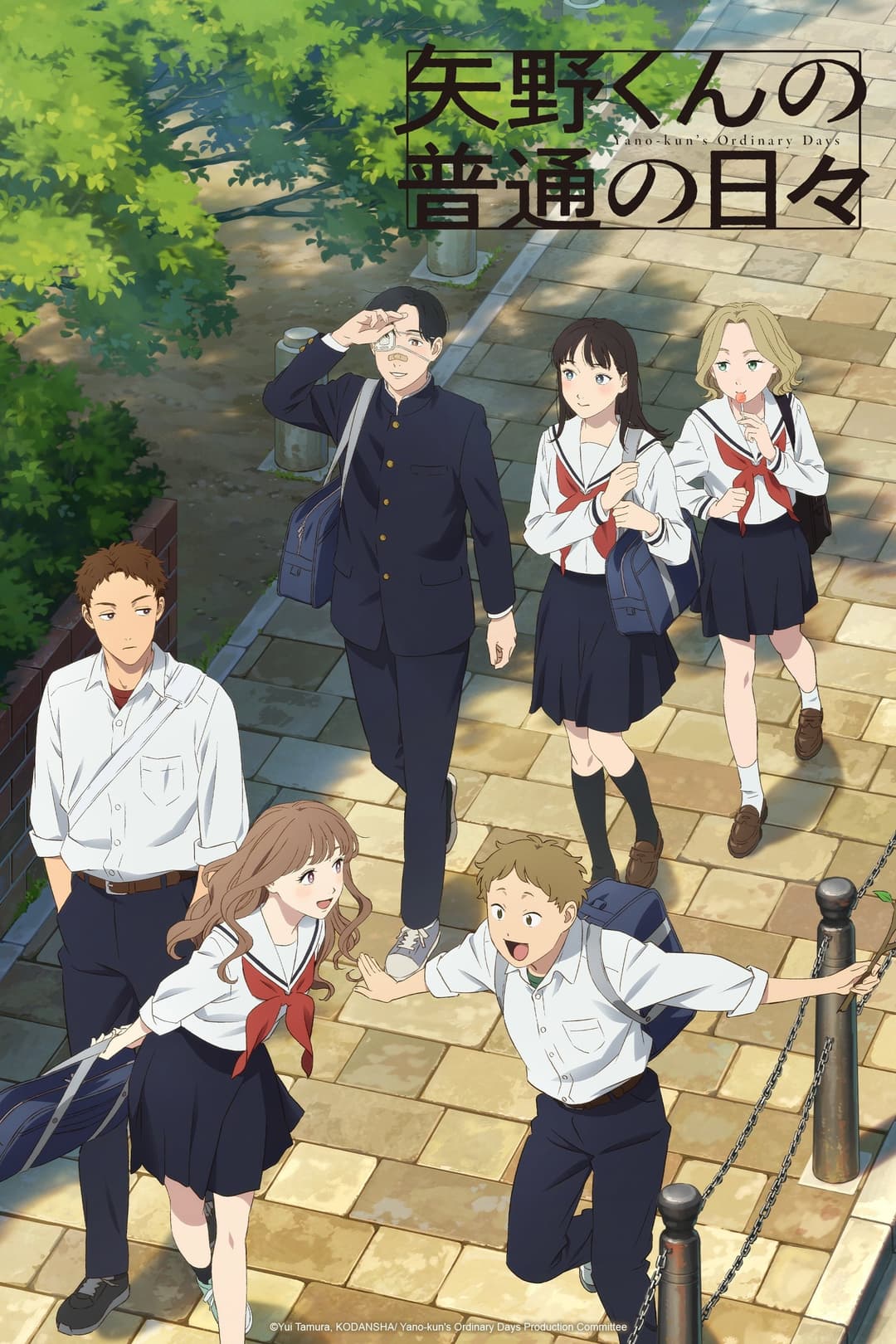 Poster di 矢野くんの普通の日々