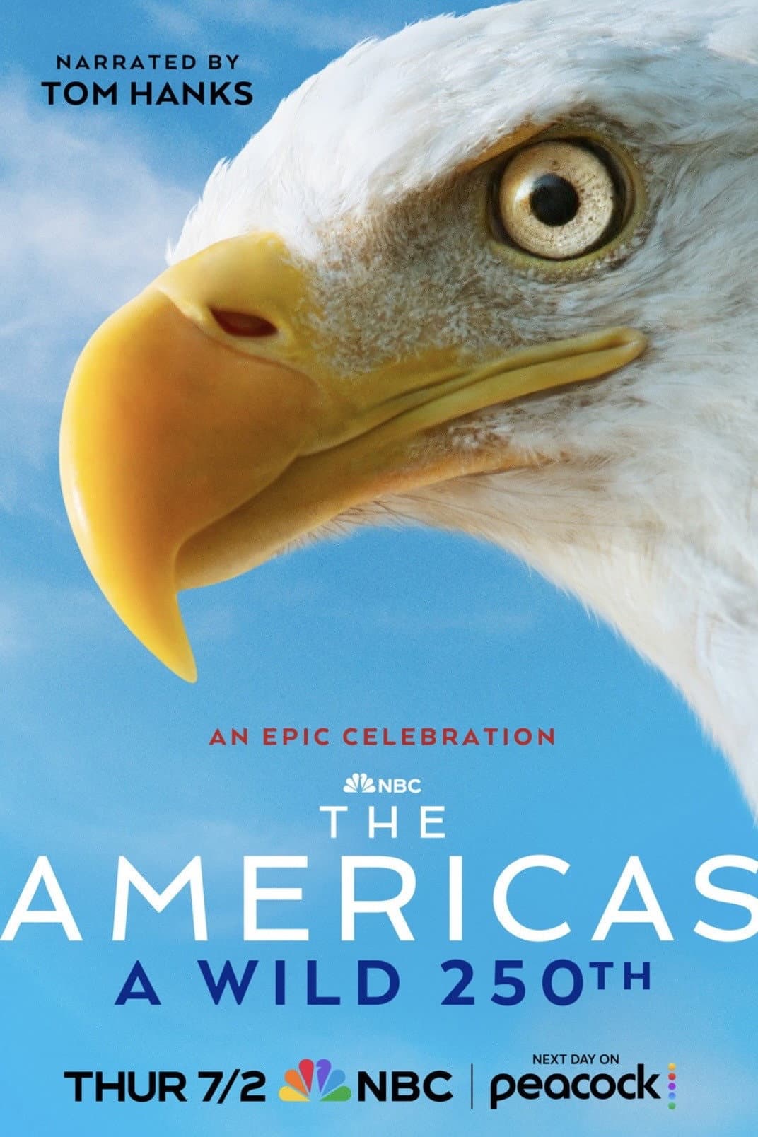 Poster di The Americas: A Wild 250th