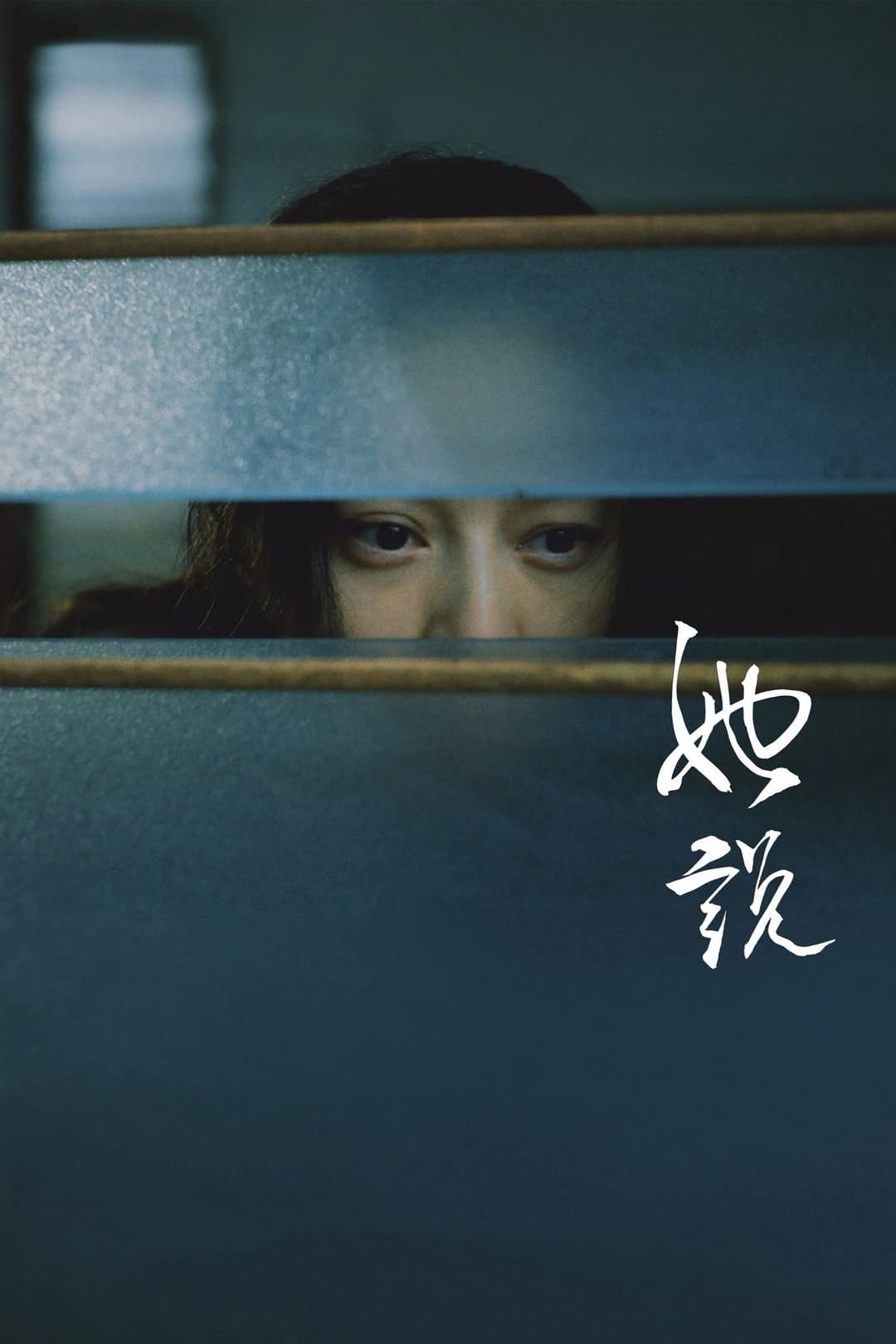 Poster di 她說