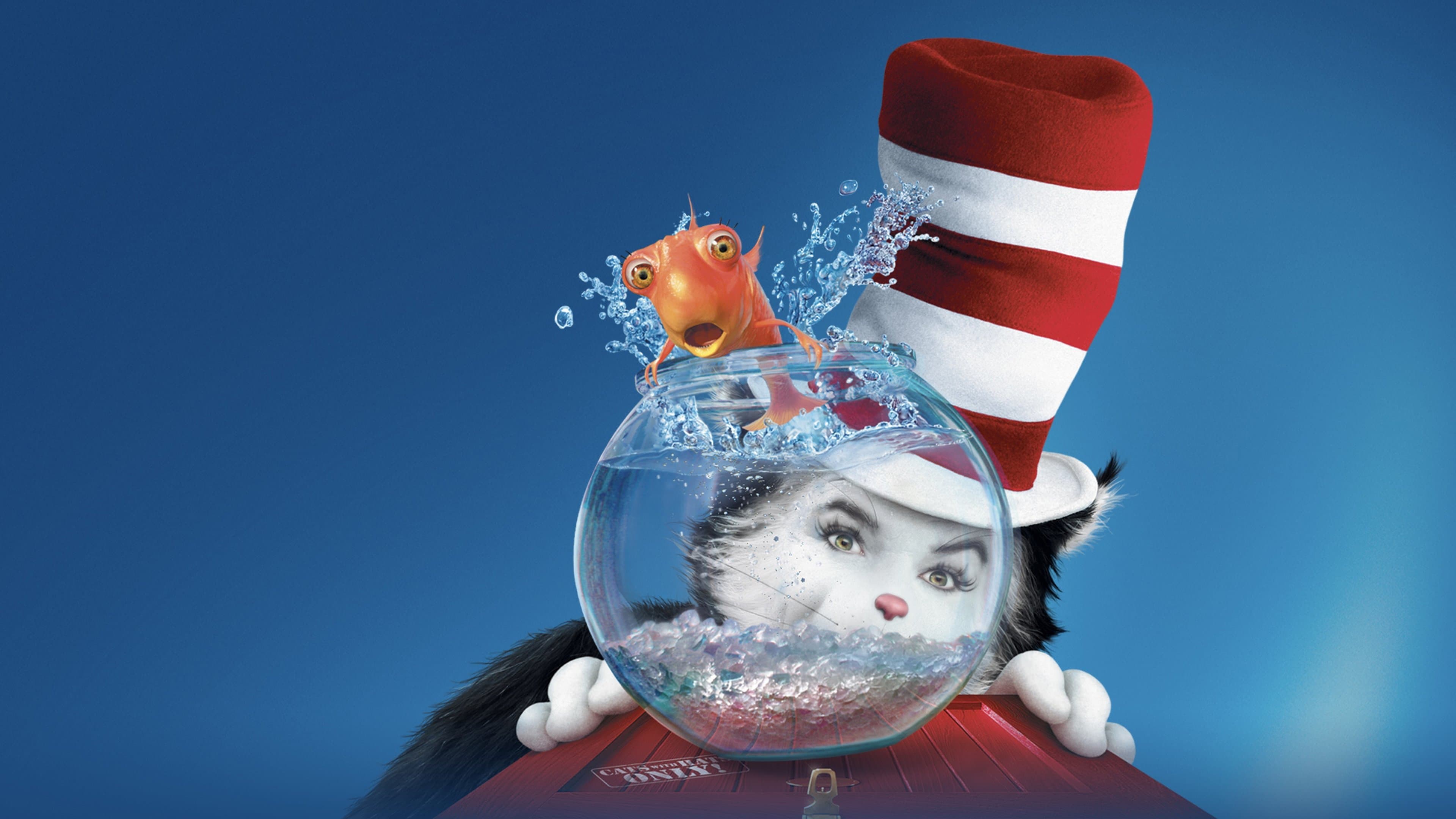 Il gatto... e il cappello matto - immagine
