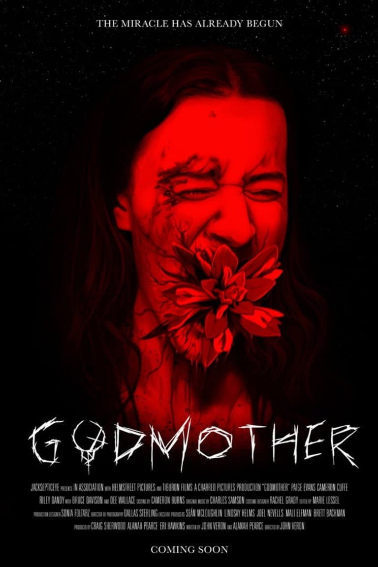 Poster di Godmother