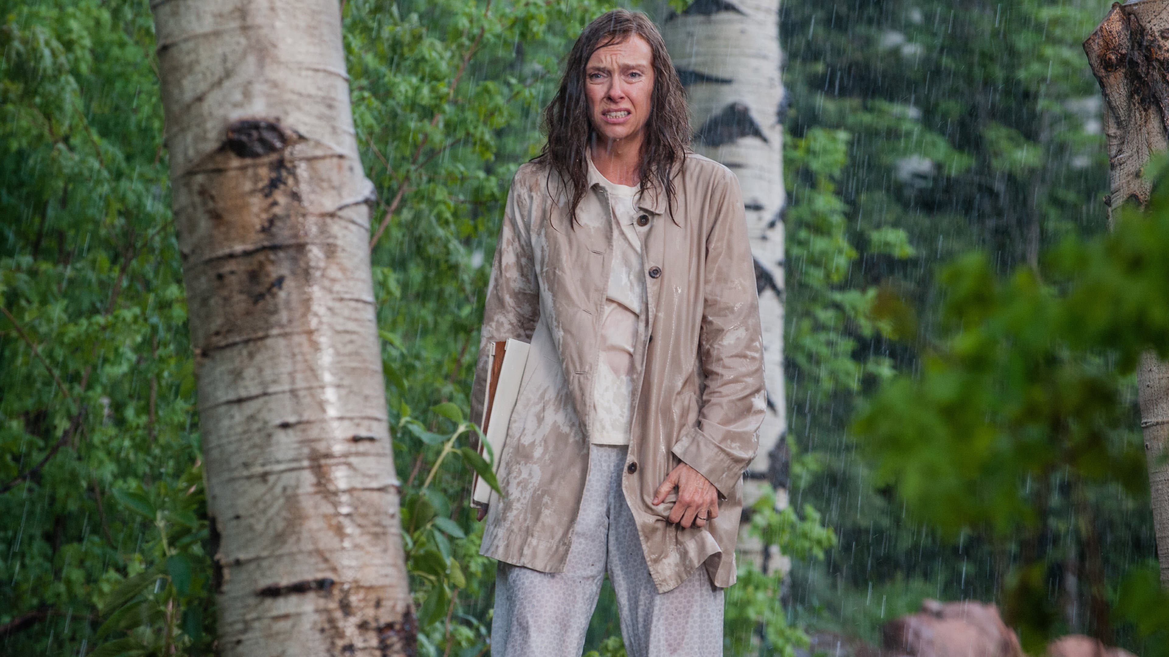 Hereditary - Le radici del male - immagine