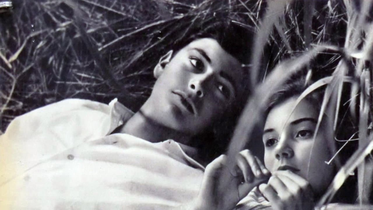 Le italiane e l'amore - immagine