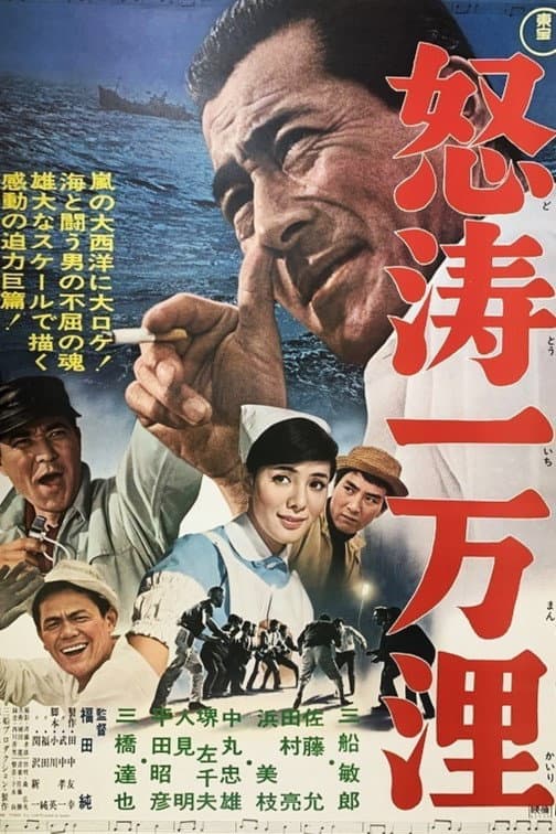 Poster di 怒涛一万浬