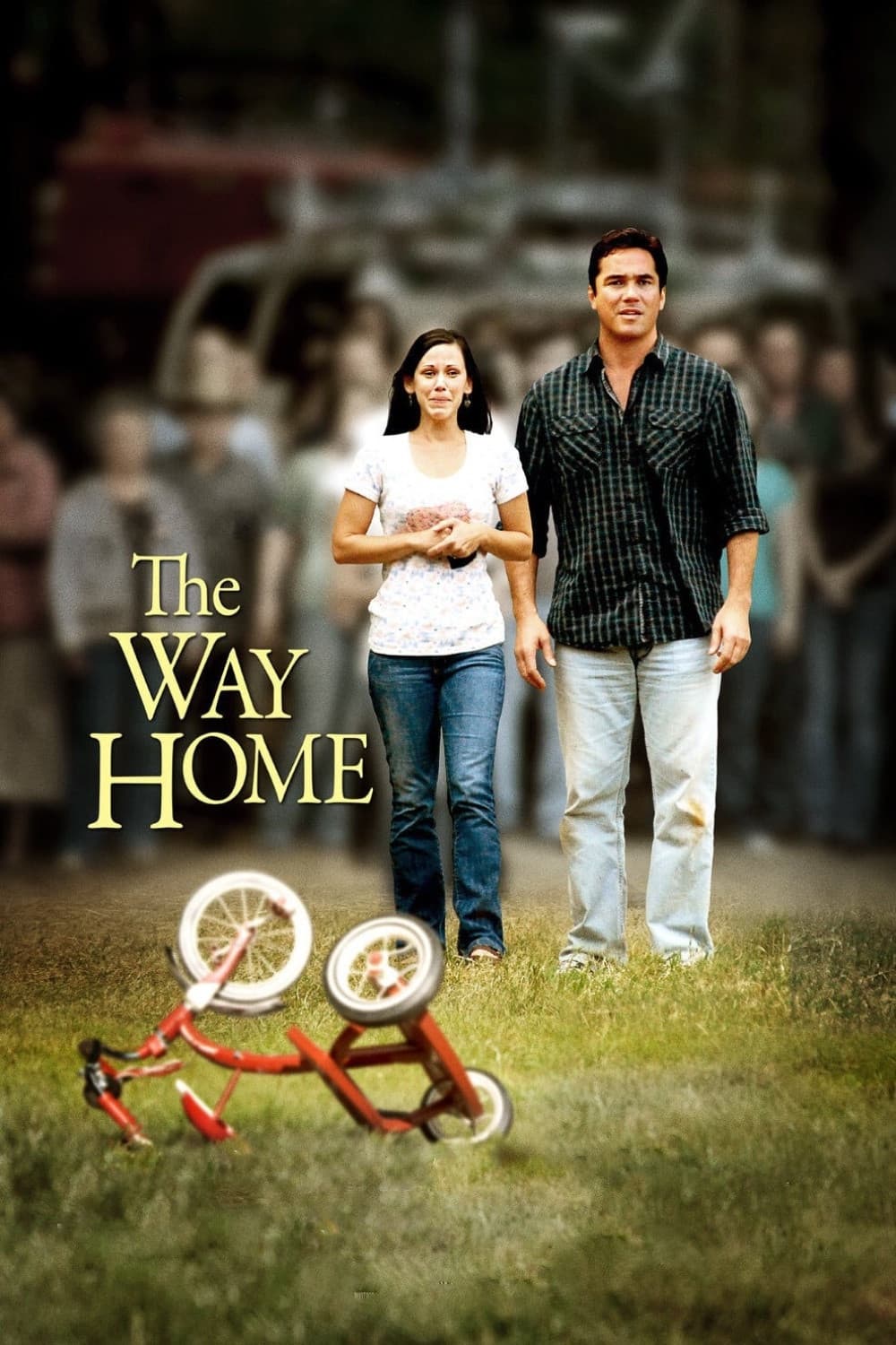 Poster di The Way Home