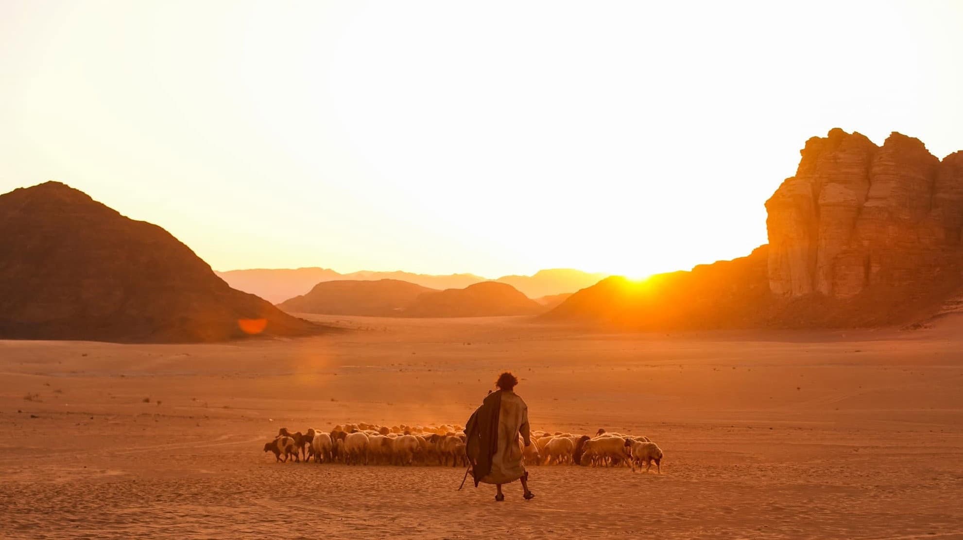 ആടുജീവിതം - immagine