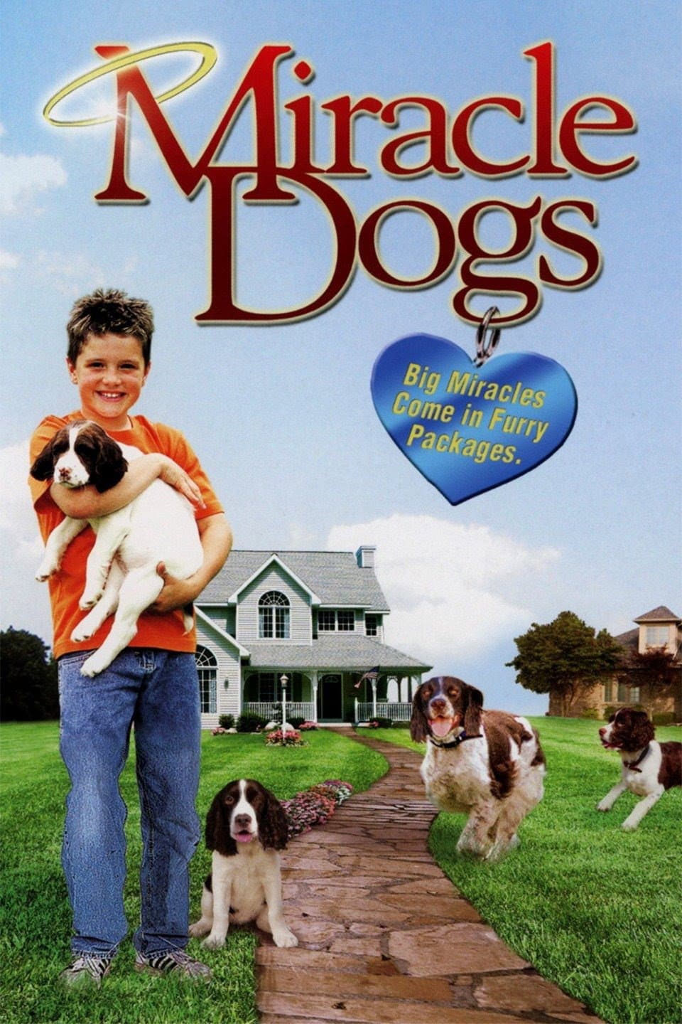 Poster di I cani dei miracoli