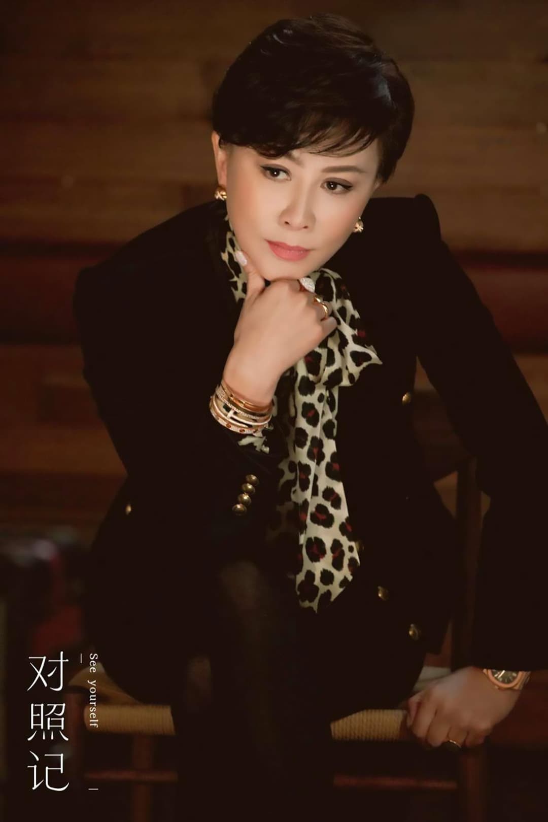 Poster di 对照记