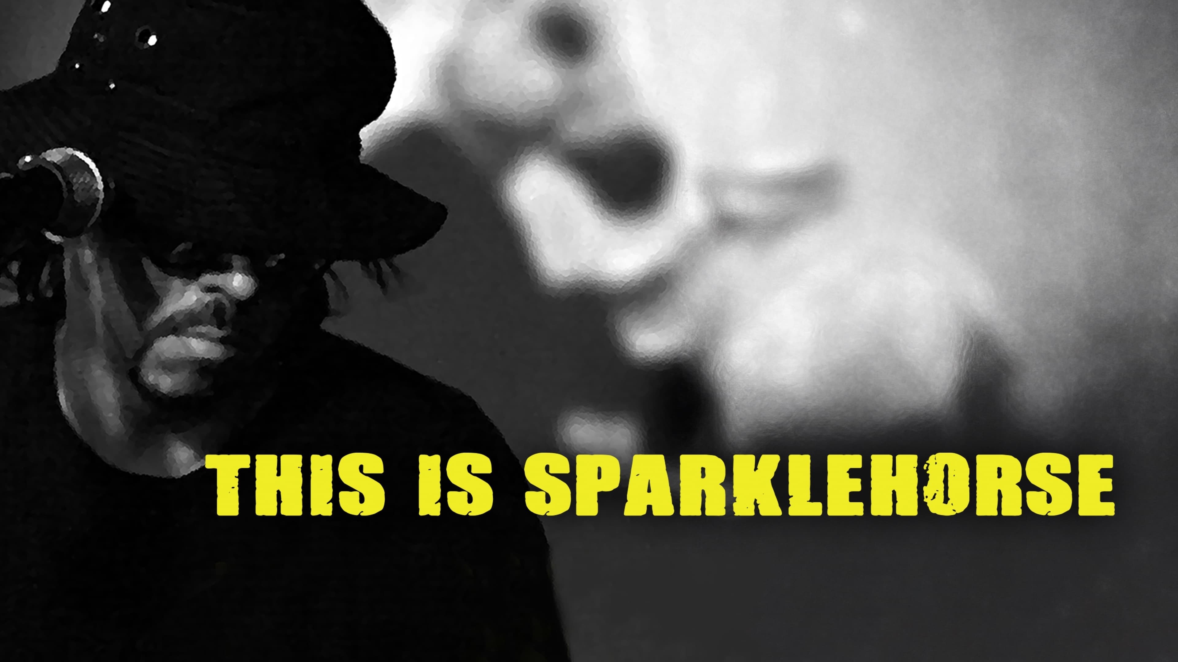 This Is Sparklehorse - immagine