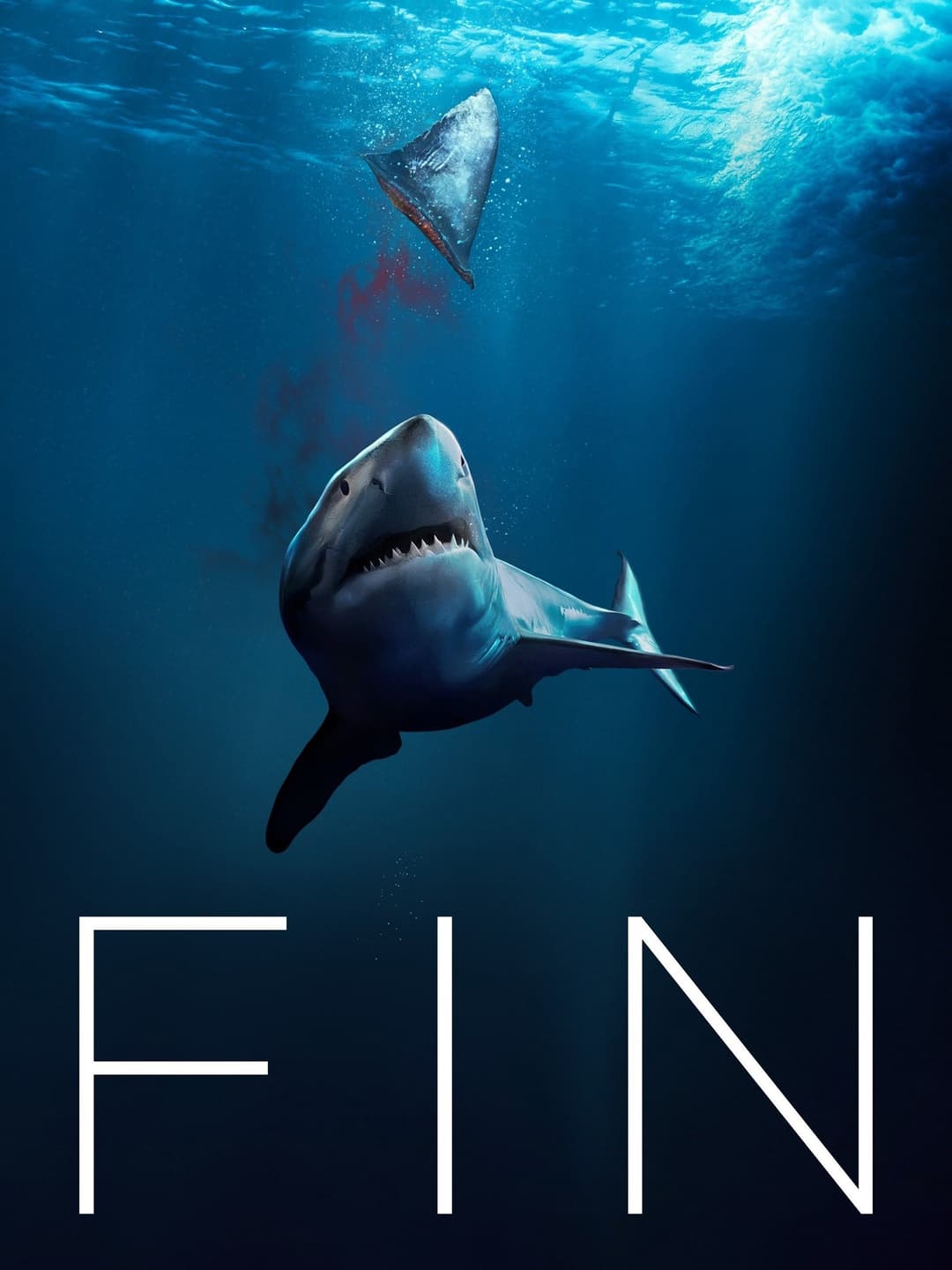 Poster di Fin