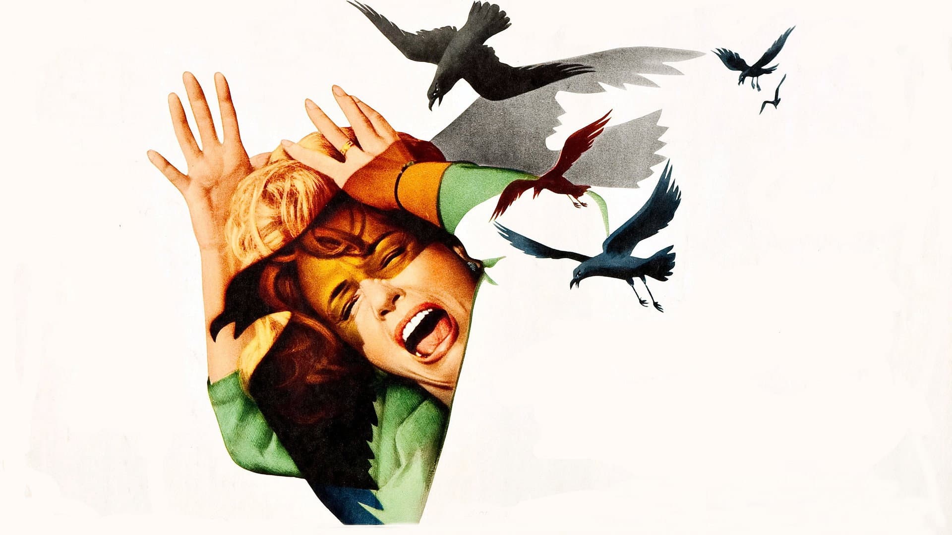 Gli uccelli - immagine