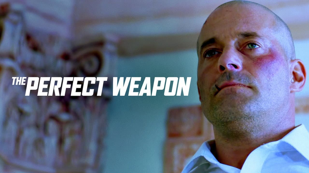 The Perfect Weapon - immagine