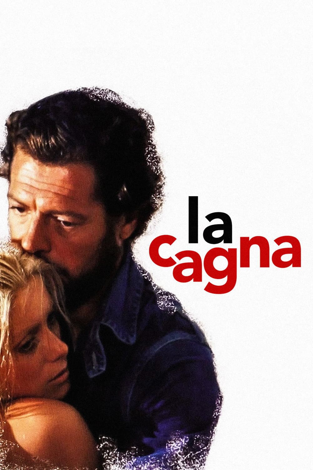 Poster di La cagna