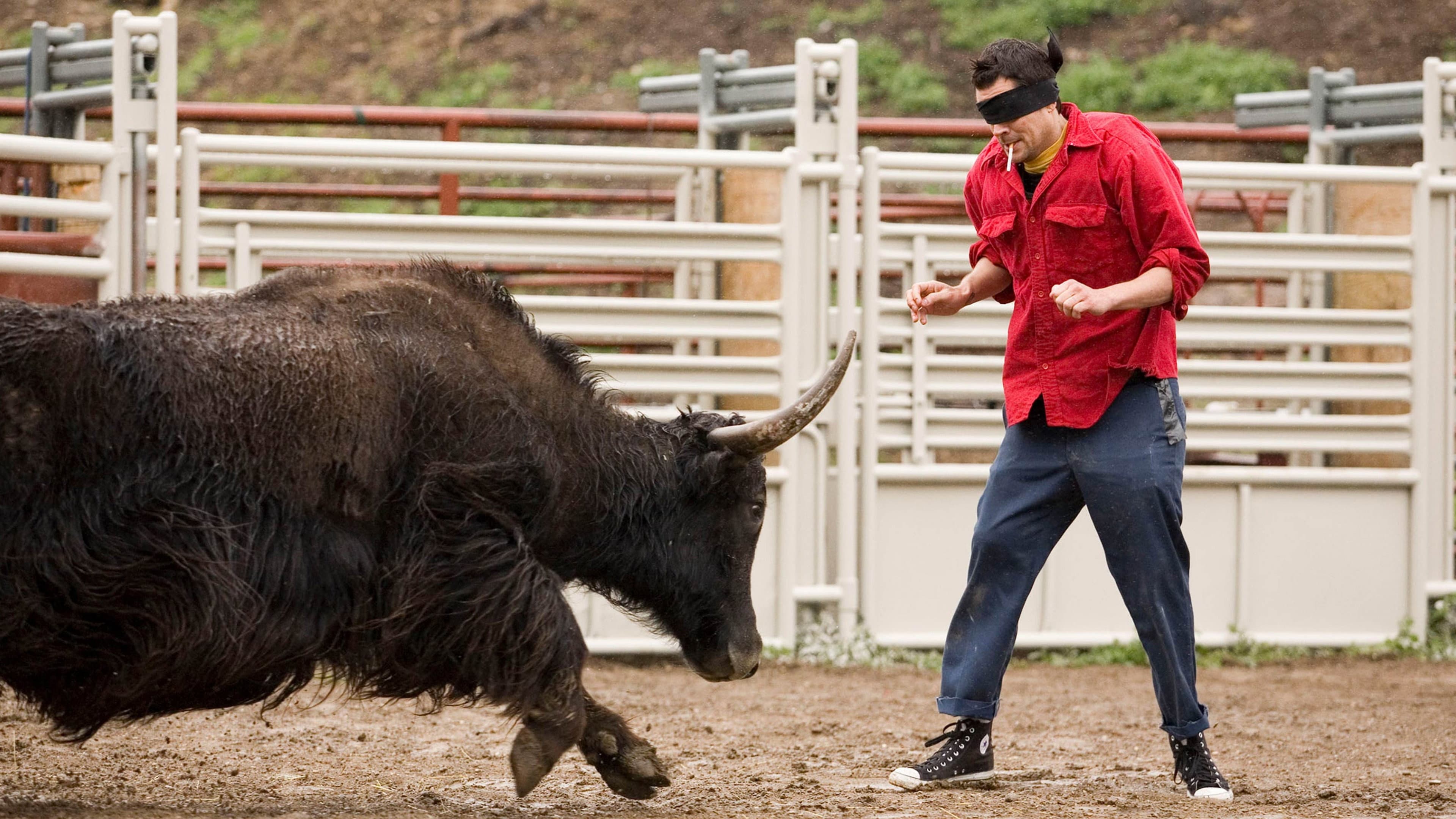 Jackass Number 2: Il Film - immagine