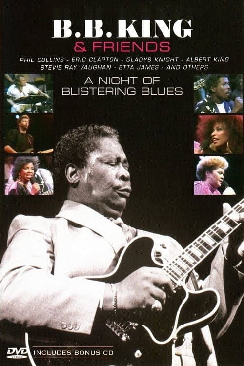 Poster di B.B. King & Friends