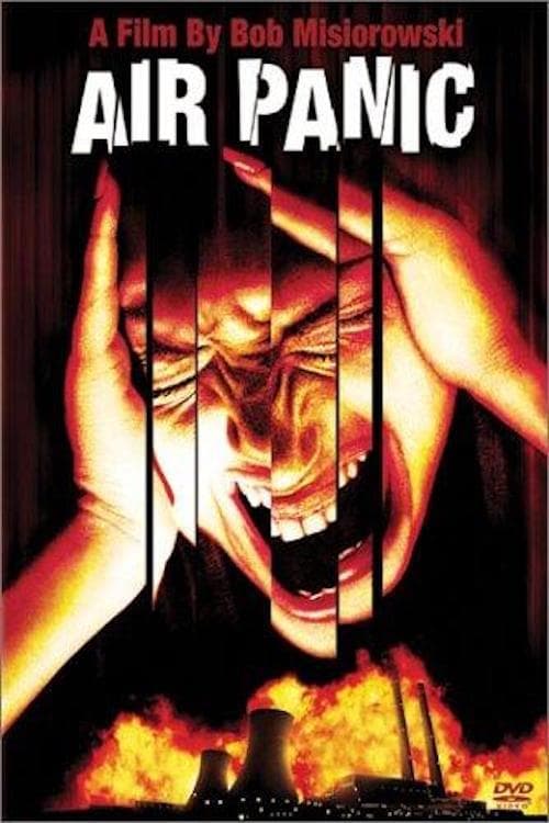 Poster di Air Panic