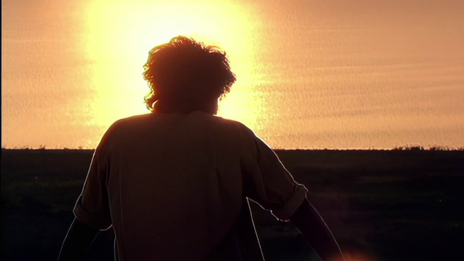 தளபதி - immagine