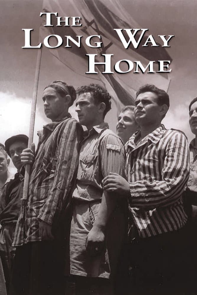 Poster di The Long Way Home