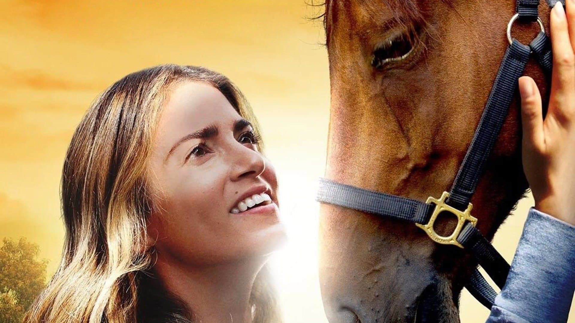 A Sunday Horse - immagine