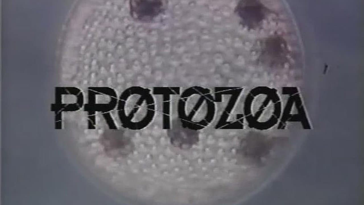 Protozoa - immagine