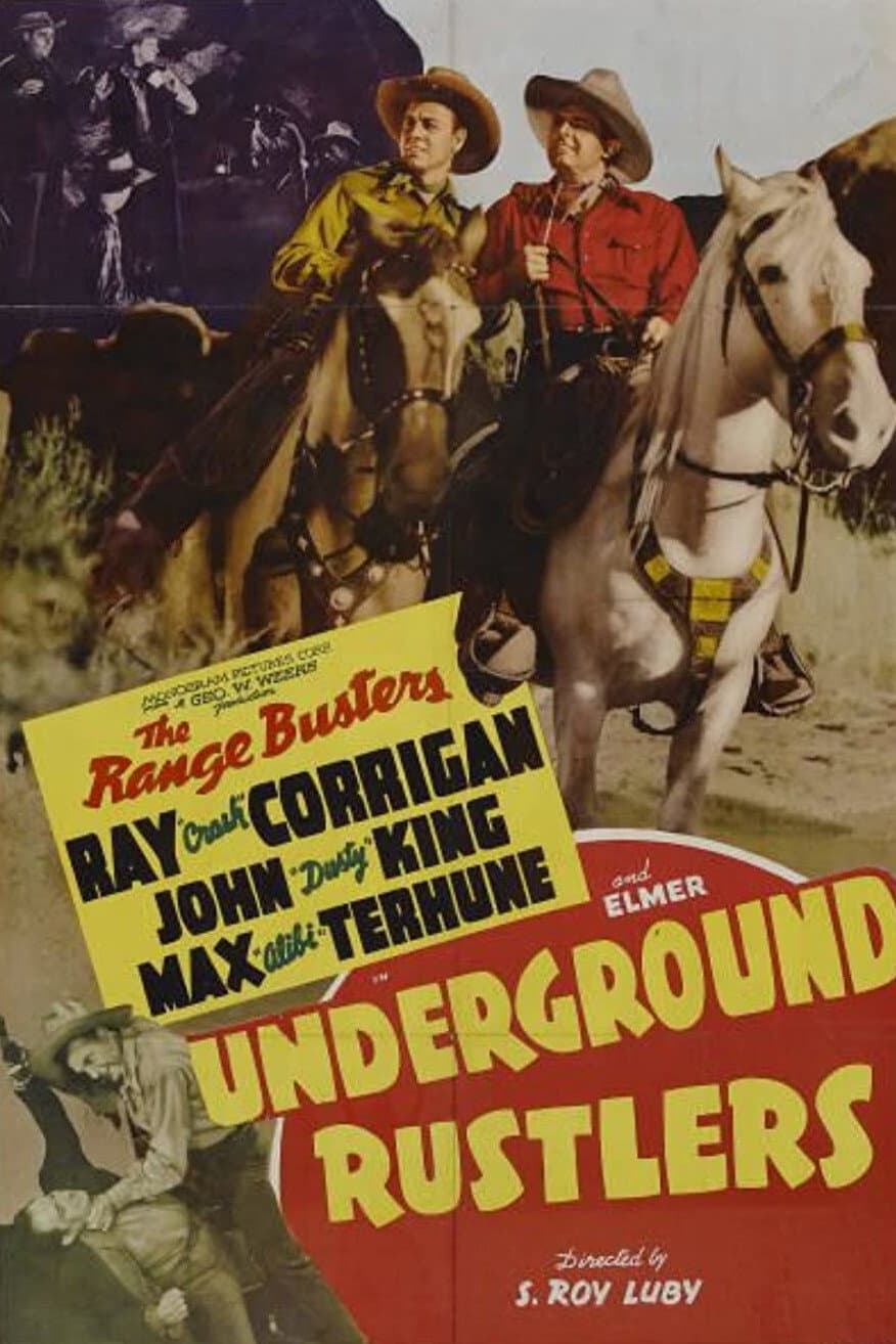 Poster di Underground Rustlers