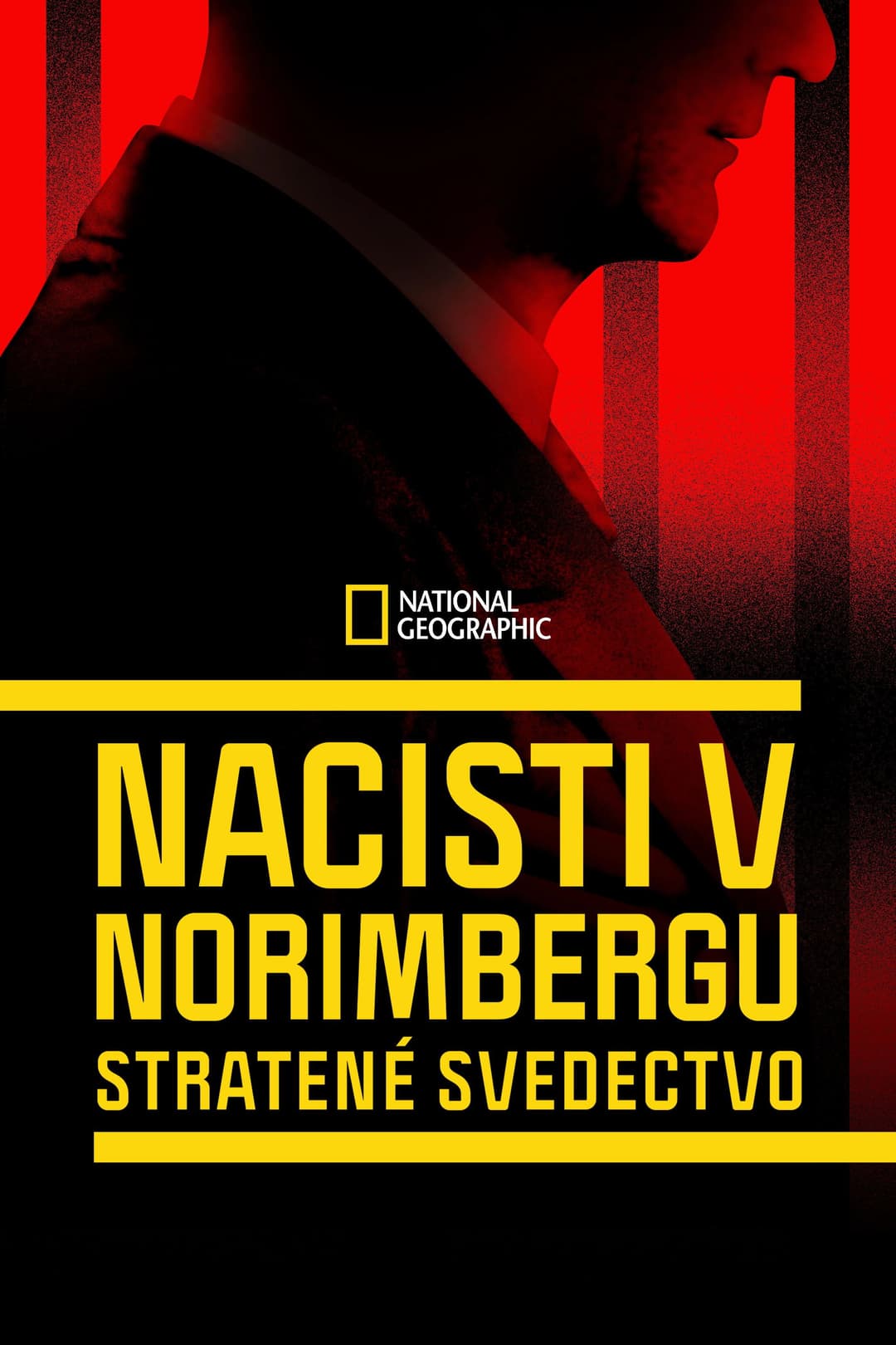 Poster di Il processo di Norimberga: le verità nascoste