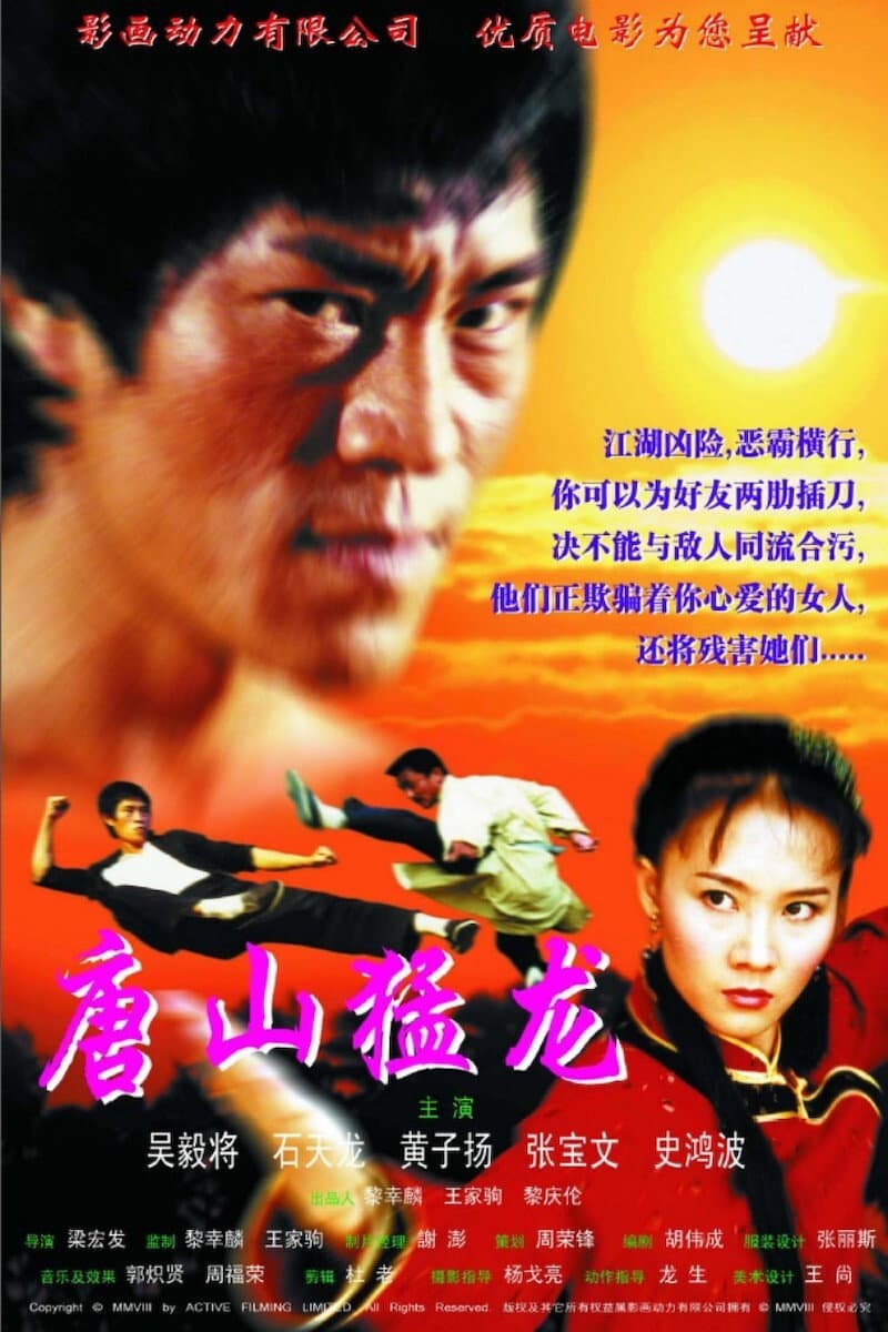 Poster di 戰龍 2