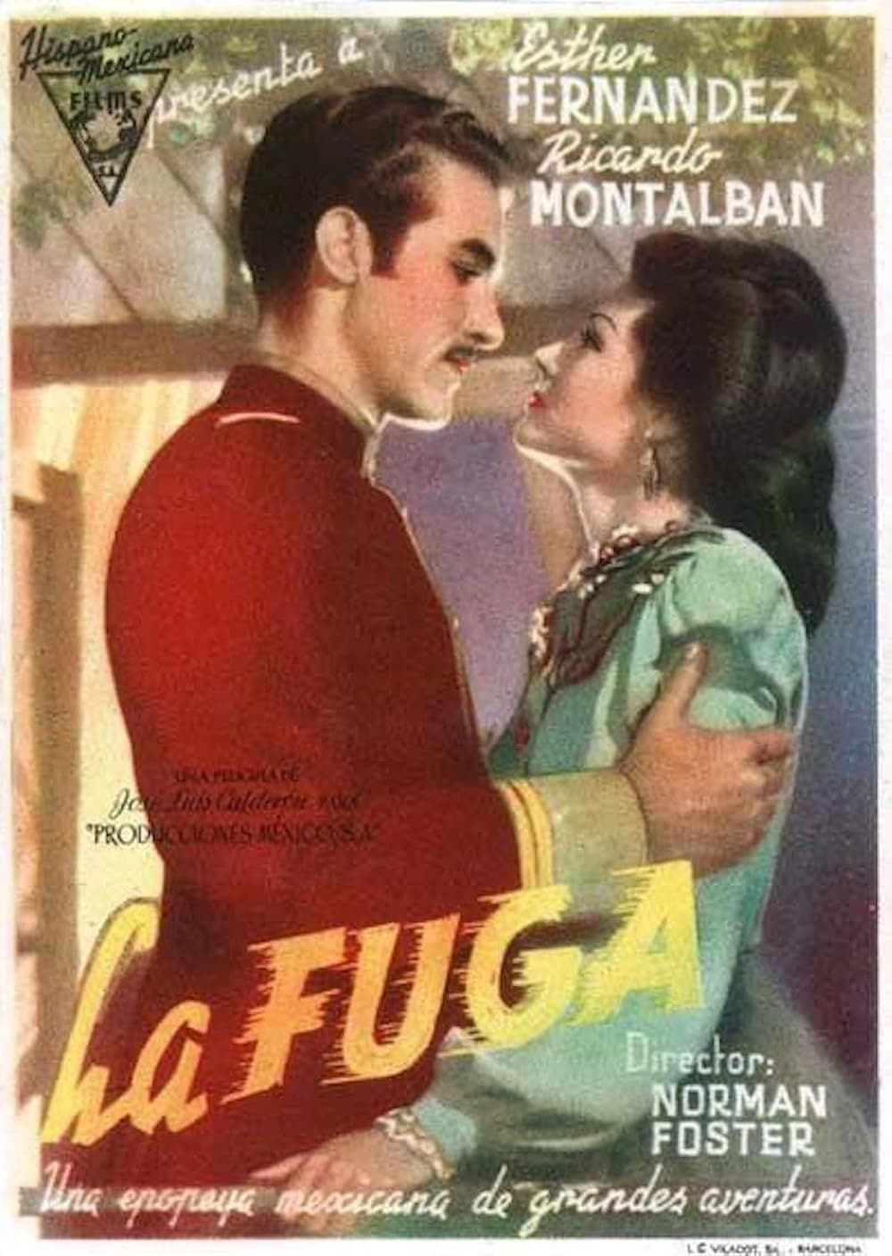 Poster di La fuga