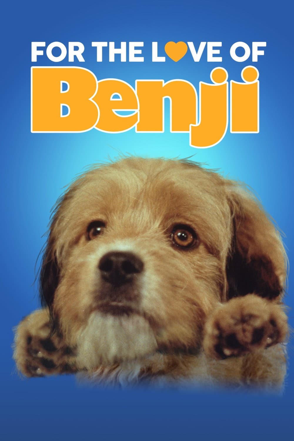 Poster di Per amore di Beniamino