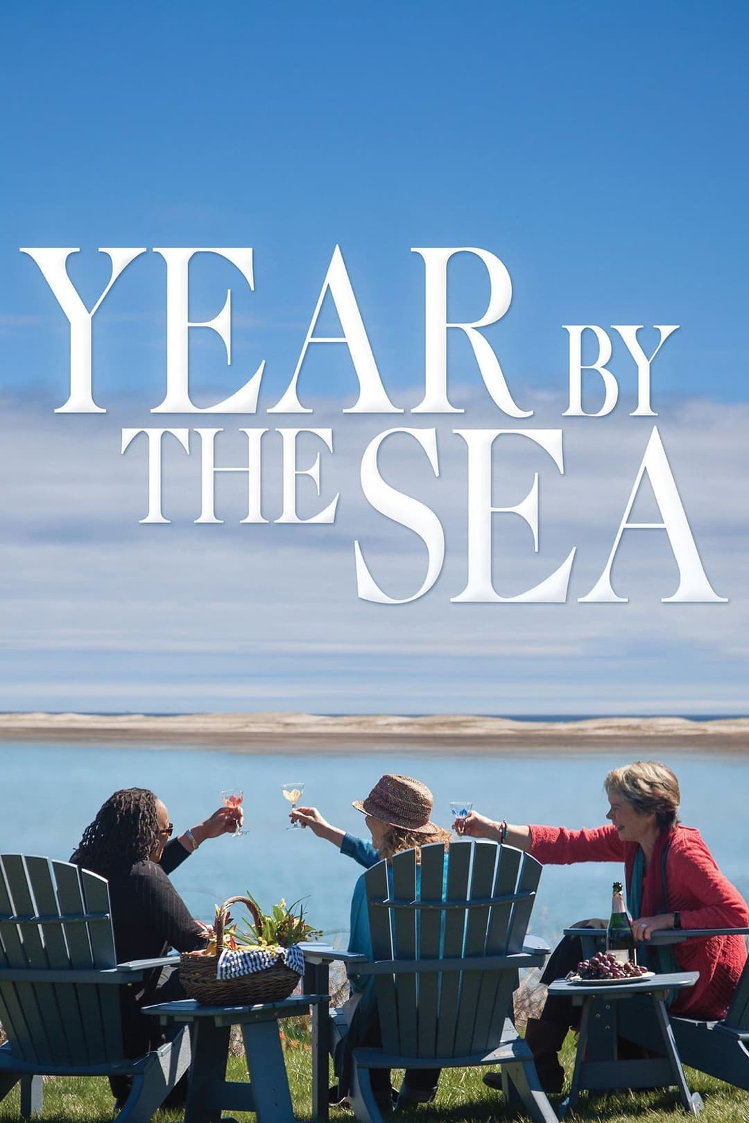 Poster di Year by the Sea
