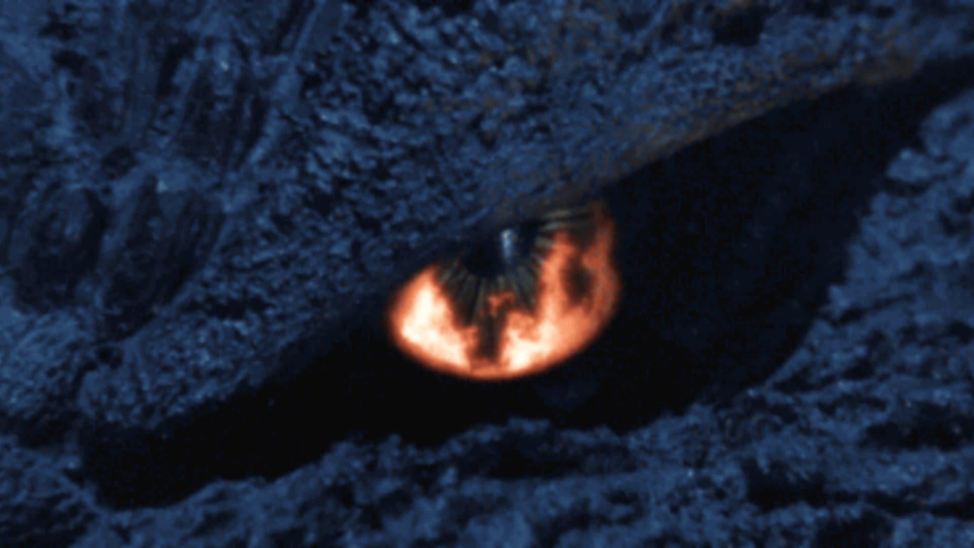 Godzilla: Final Wars - immagine