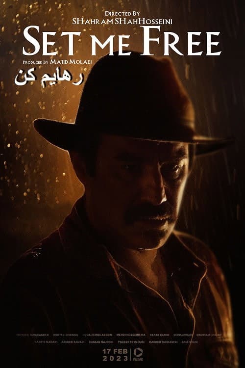 Poster di رهایم کن