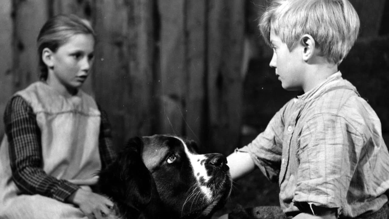 Heart of a Child - immagine