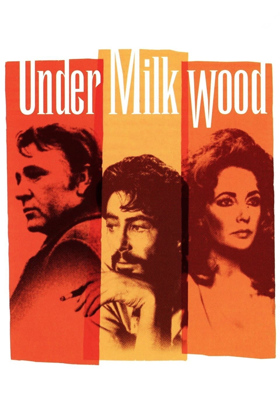 Poster di La leggenda di Llareggub