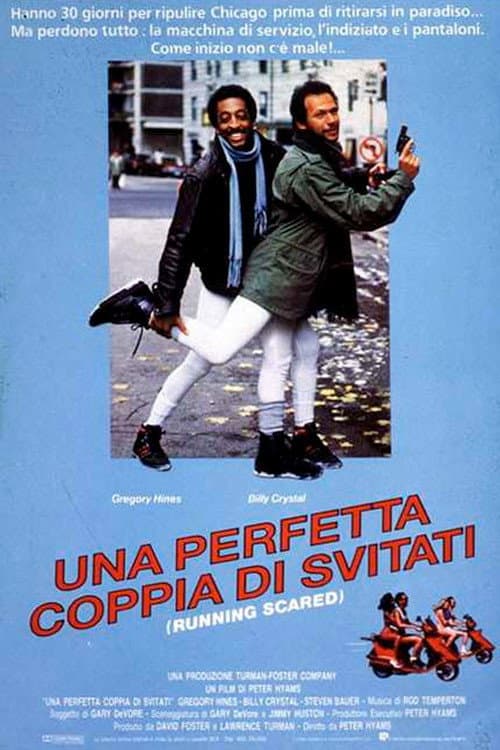 Poster di Una perfetta coppia di svitati