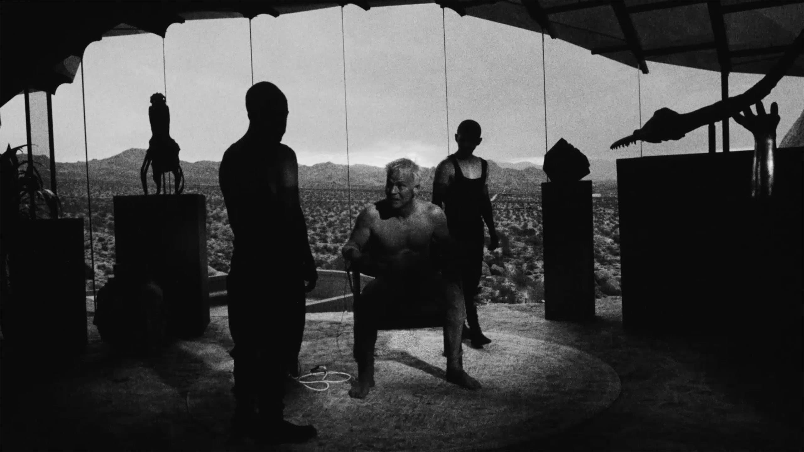 Divinity - immagine