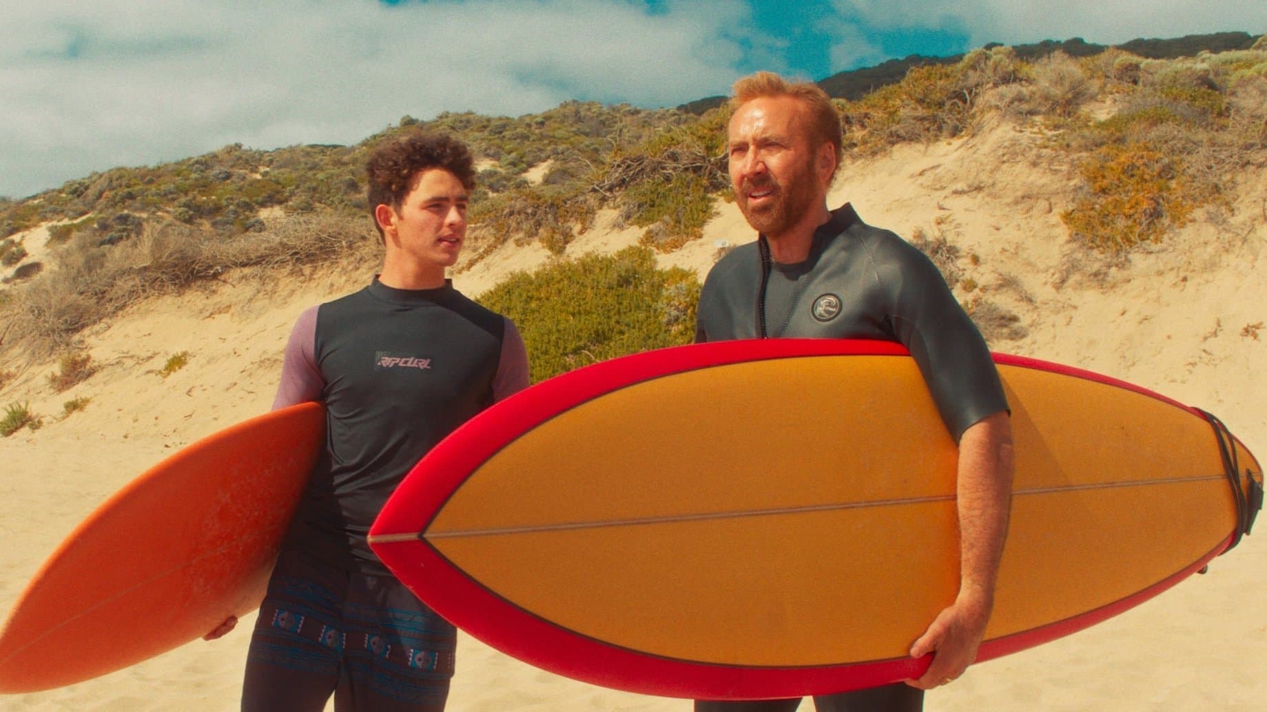 The Surfer - immagine