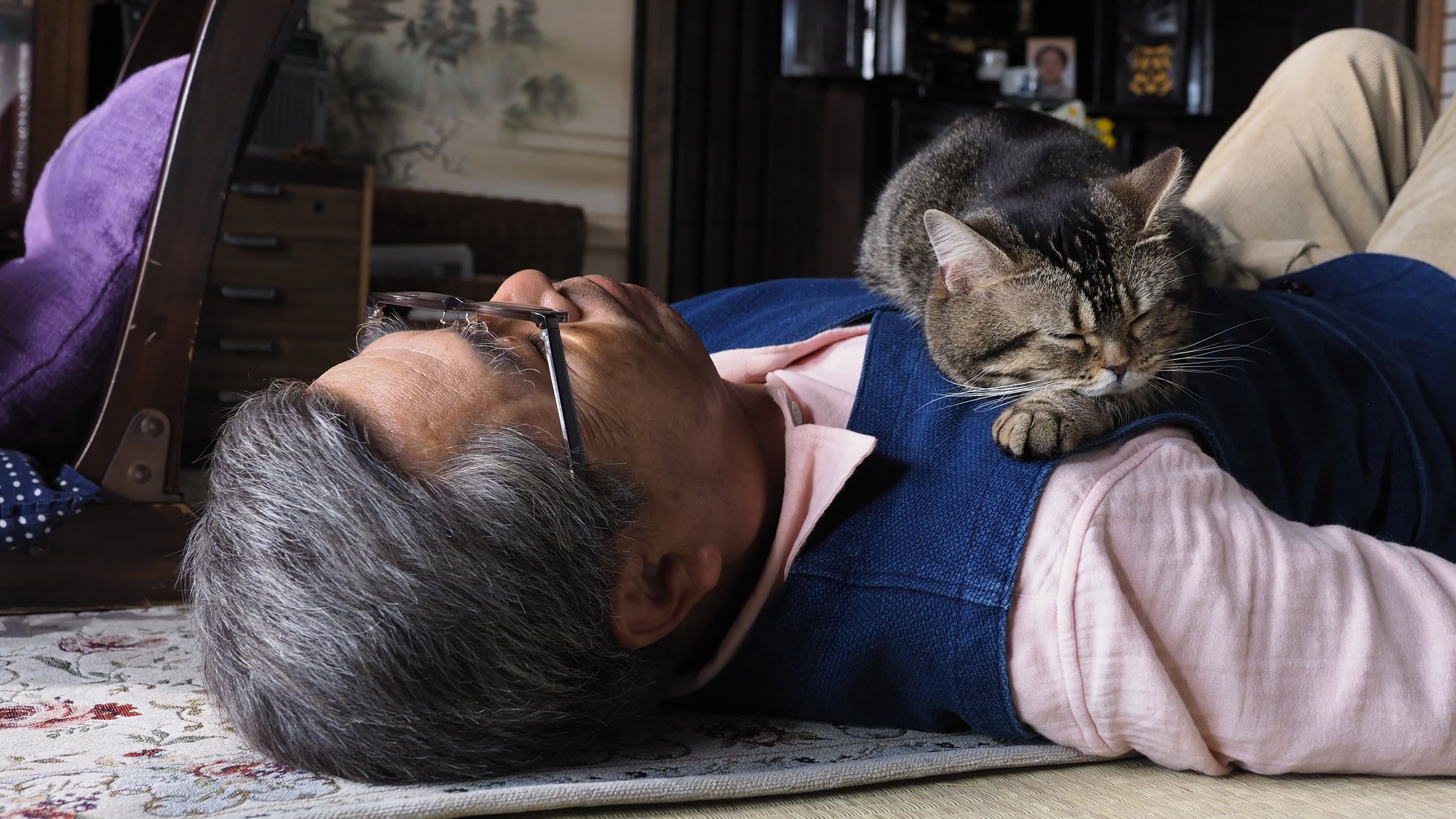 ねことじいちゃん - immagine
