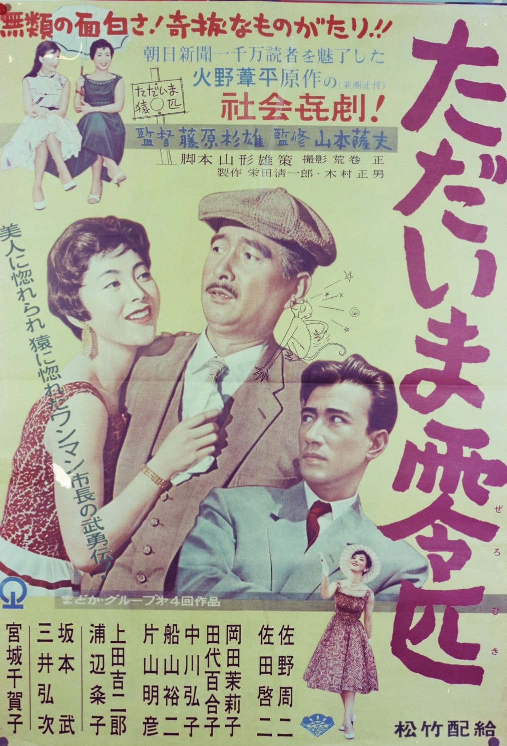 Poster di ただいま零匹