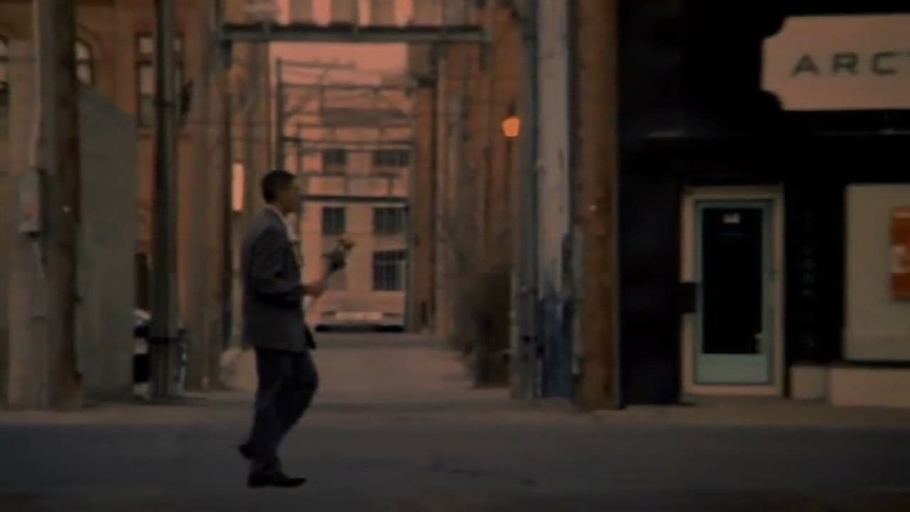 The Man Who Loved Flowers - immagine