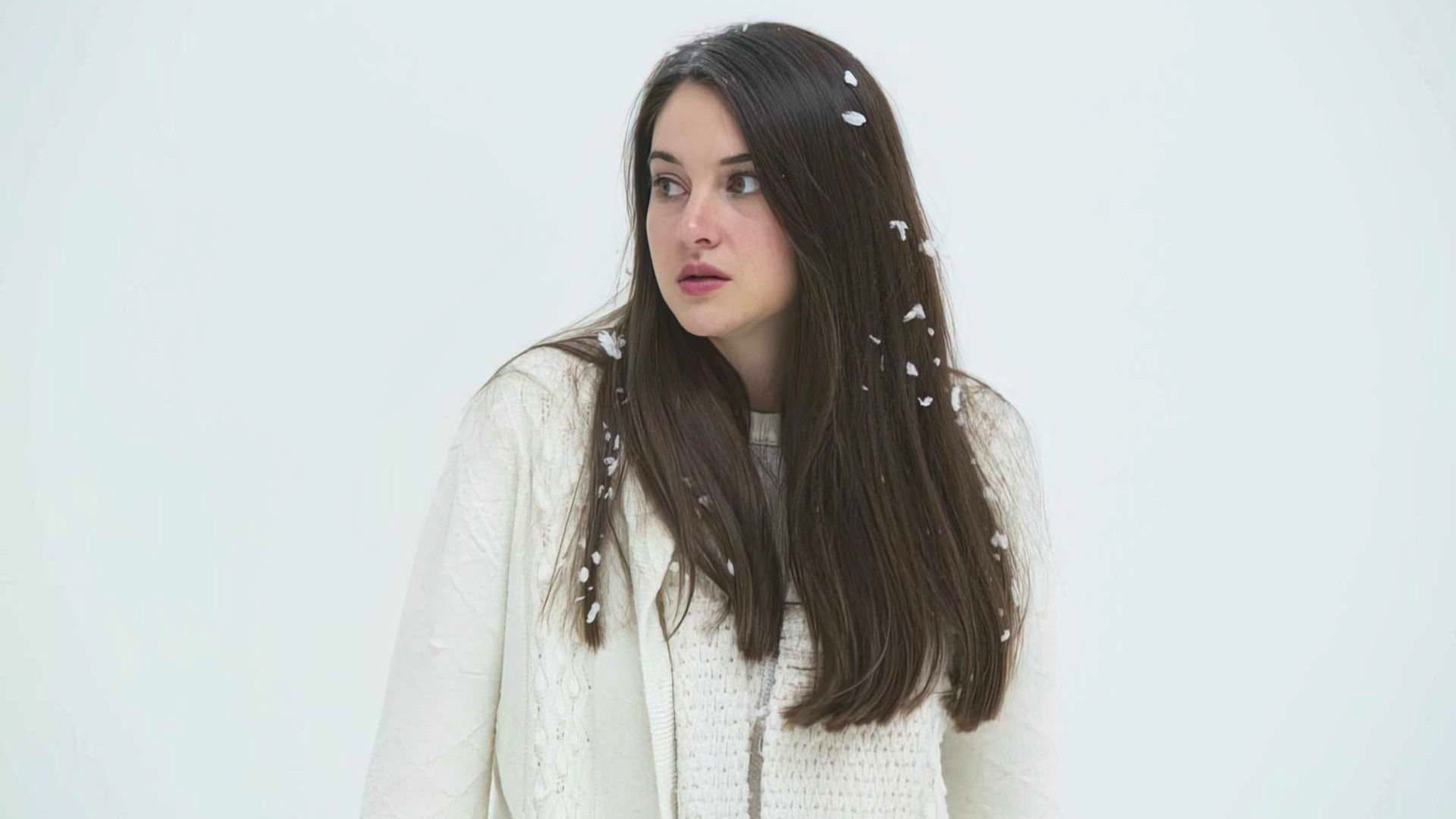 White Bird - immagine