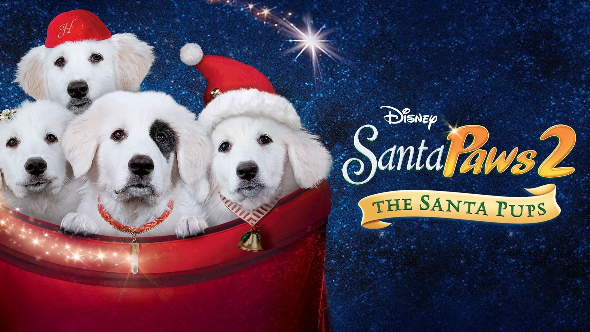 Zampa 2 - I cuccioli di Natale - immagine